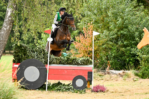 Deutsche Amateur Meisterschaft  Vielseitigkeit 2026 in Langenhagen | 13092026 Intro So_050 