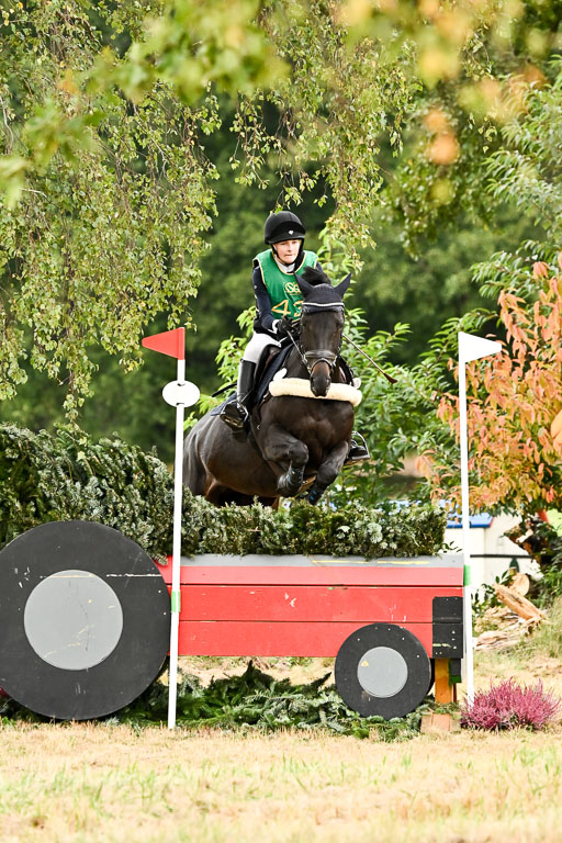 Deutsche Amateur Meisterschaft  Vielseitigkeit 2026 in Langenhagen | 13092026 Intro So_079 