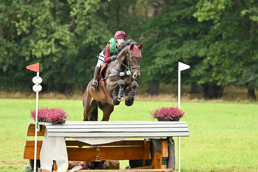 Deutsche Amateur Meisterschaft  Vielseitigkeit 2026 in Langenhagen | 13092026 Intro So_084 