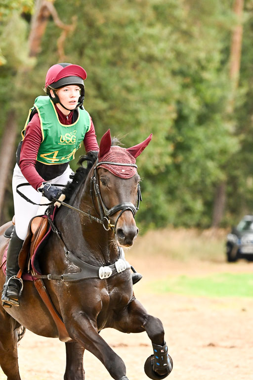 Deutsche Amateur Meisterschaft  Vielseitigkeit 2026 in Langenhagen | 13092026 Intro So_089 