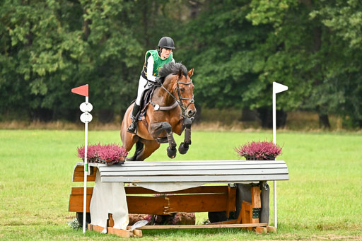Deutsche Amateur Meisterschaft  Vielseitigkeit 2026 in Langenhagen | 13092026 Intro So_091 