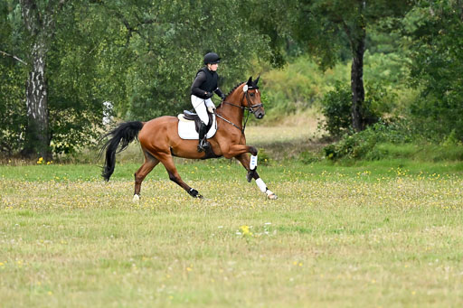  | 22082026 Stil A Gelände_034 