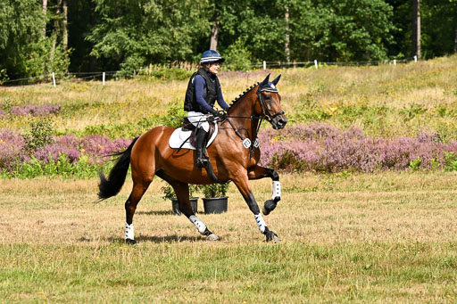  | 22082026 Stil A Gelände_071 