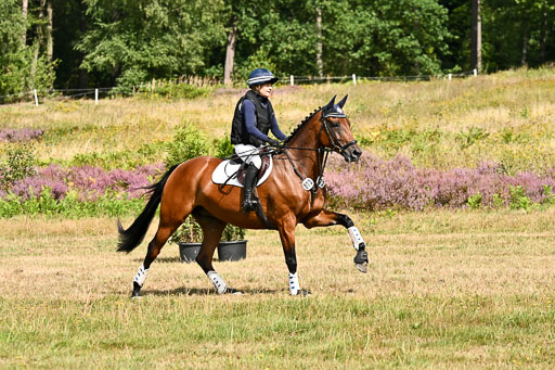  | 22082026 Stil A Gelände_072 