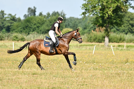  | 22082026 Stil A Gelände_081 