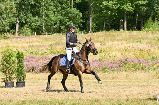  | 22082026 Stil A Gelände_105 