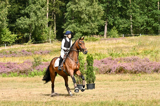 | 22082026 Stil A Gelände_118 