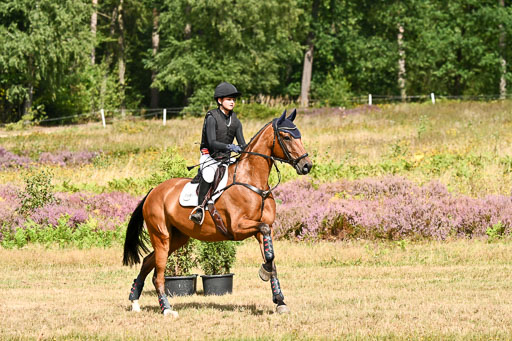  | 22082026 Stil A Gelände_198 