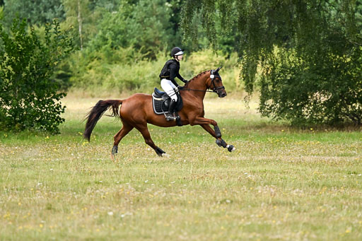  | 22082026 Stil A Gelände_250 