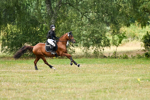  | 22082026 Stil A Gelände_251 
