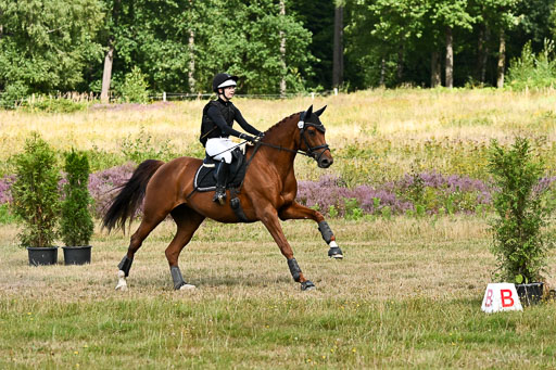  | 22082026 Stil A Gelände_259 