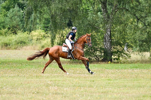  | 22082026 Stil A Gelände_284 