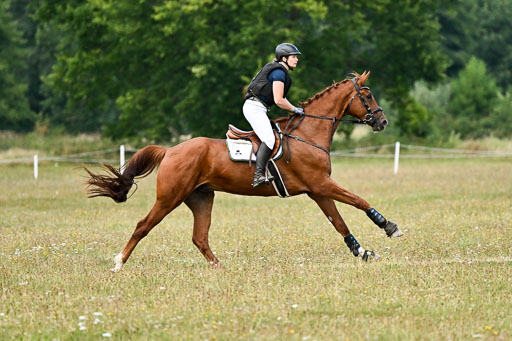  | 22082026 Stil A Gelände_286 
