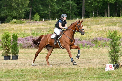  | 22082026 Stil A Gelände_294 