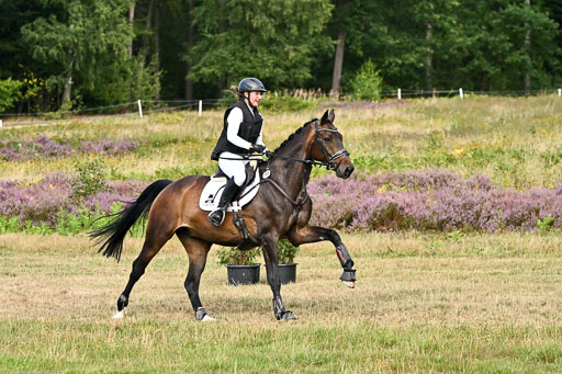  | 22082026 Stil A Gelände_308 