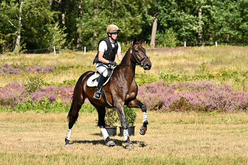  | 22082026 Stil A Gelände_361 