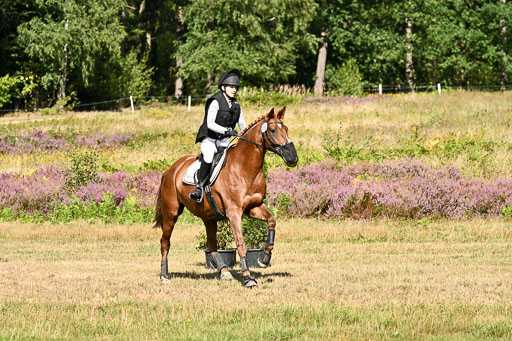  | 22082026 Stil A Gelände_399 