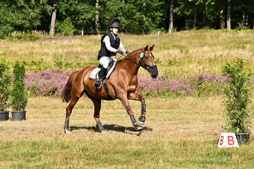  | 22082026 Stil A Gelände_400 