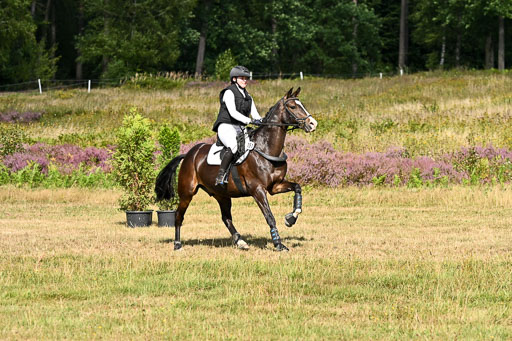  | 22082026 Stil A Gelände_416 