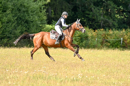  | 22082026 Stil A Gelände_448 