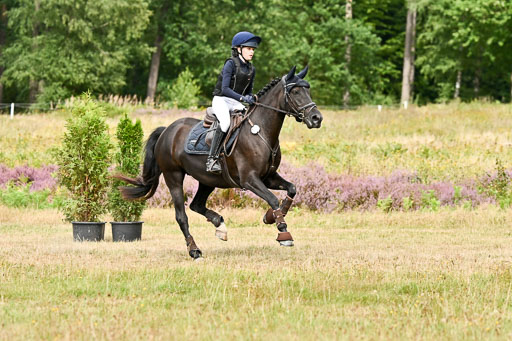  | 22082026 Stil A Gelände_525 