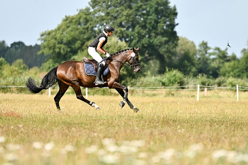  | 22082026 Stil A Gelände_533 