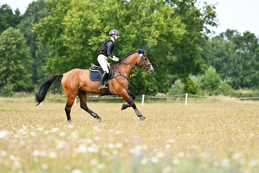  | 22082026 Stil A Gelände_550 