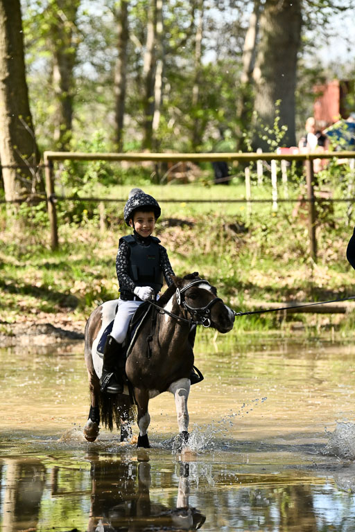  | 26042026 Führzügel WB _026 