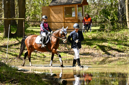  | 26042026 Führzügel WB _034 