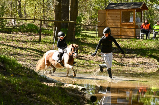  | 26042026 Führzügel WB _057 
