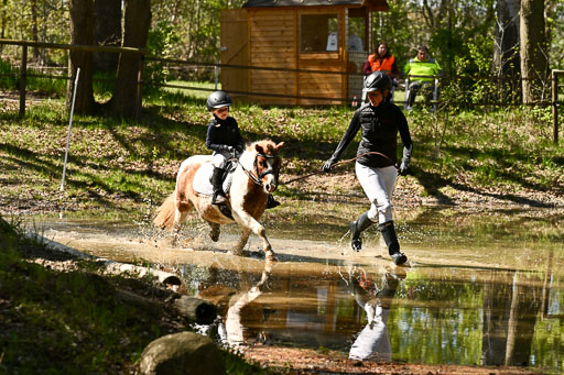  | 26042026 Führzügel WB _058 