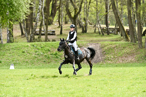  | 25042026 Geländereiter WB_006 