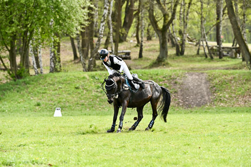  | 25042026 Geländereiter WB_007 