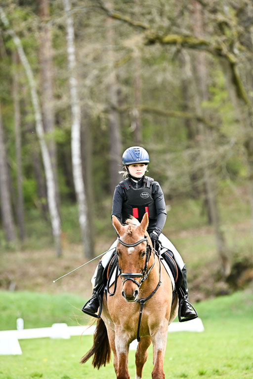  | 25042026 Geländereiter WB_009 