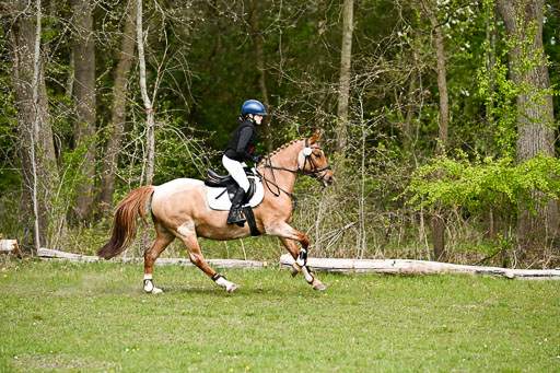  | 25042026 Geländereiter WB_010 