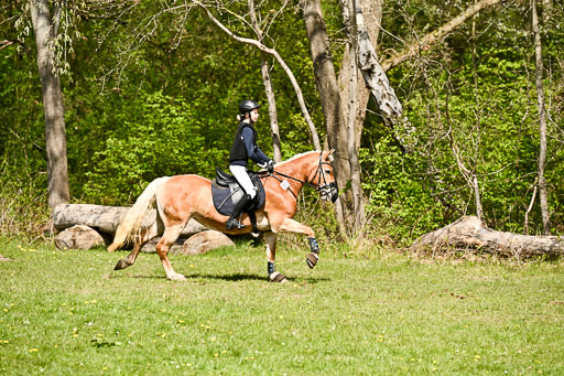  | 25042026 Geländereiter WB_024 