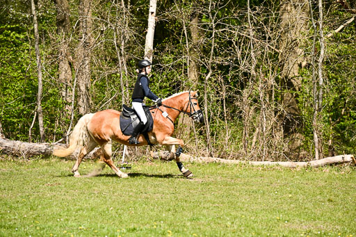  | 25042026 Geländereiter WB_025 