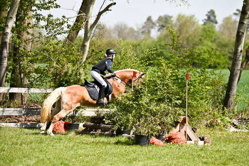  | 25042026 Geländereiter WB_026 