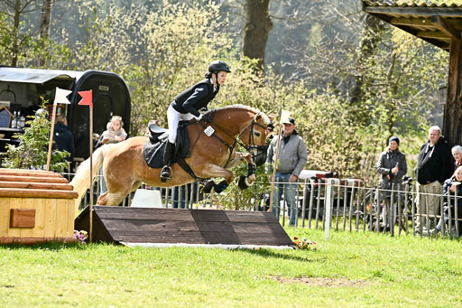  | 25042026 Geländereiter WB_035 