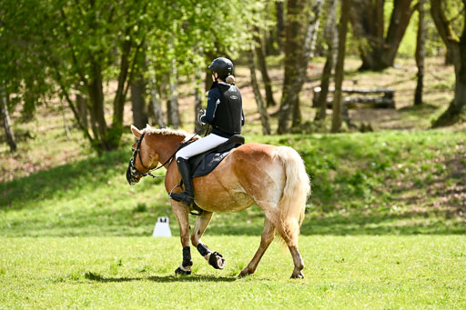  | 25042026 Geländereiter WB_039 