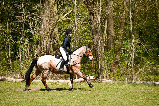  | 25042026 Geländereiter WB_040 