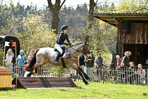  | 25042026 Geländereiter WB_051 