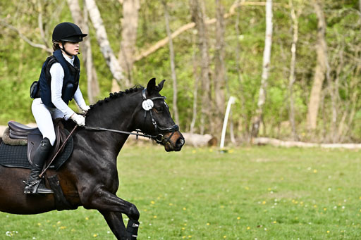  | 25042026 Geländereiter WB_083 