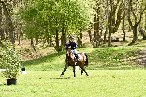  | 25042026 Geländereiter WB_099 