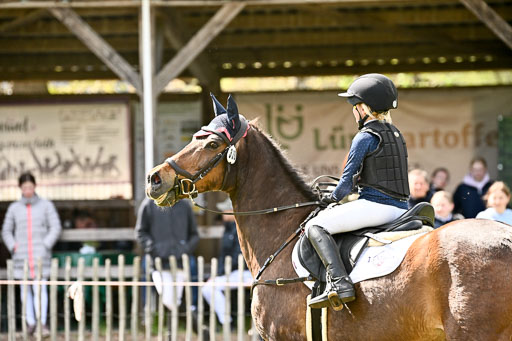  | 25042026 Geländereiter WB_118 