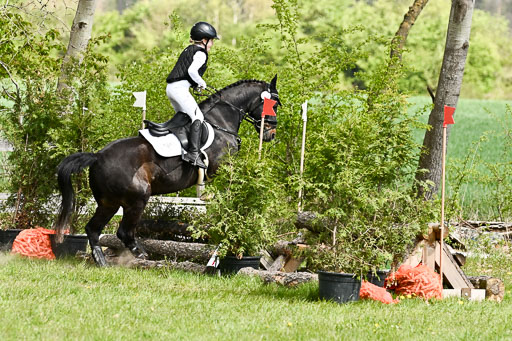  | 25042026 Geländereiter WB_126 