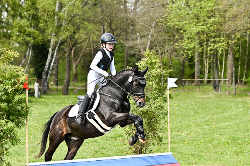  | 25042026 Geländereiter WB_137 
