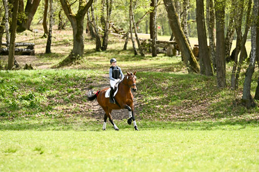  | 25042026 Geländereiter WB_153 
