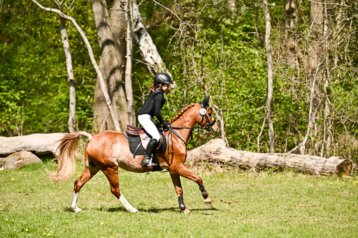  | 25042026 Geländereiter WB_169 