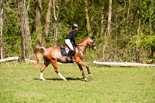  | 25042026 Geländereiter WB_170 